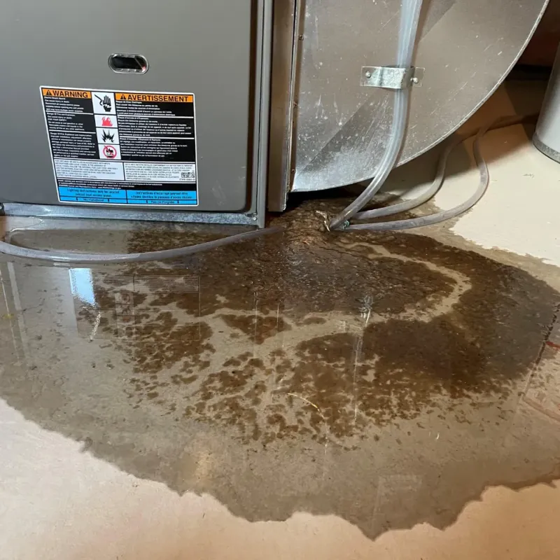 Appliance Leak Cleanup in Porter Heights, TX